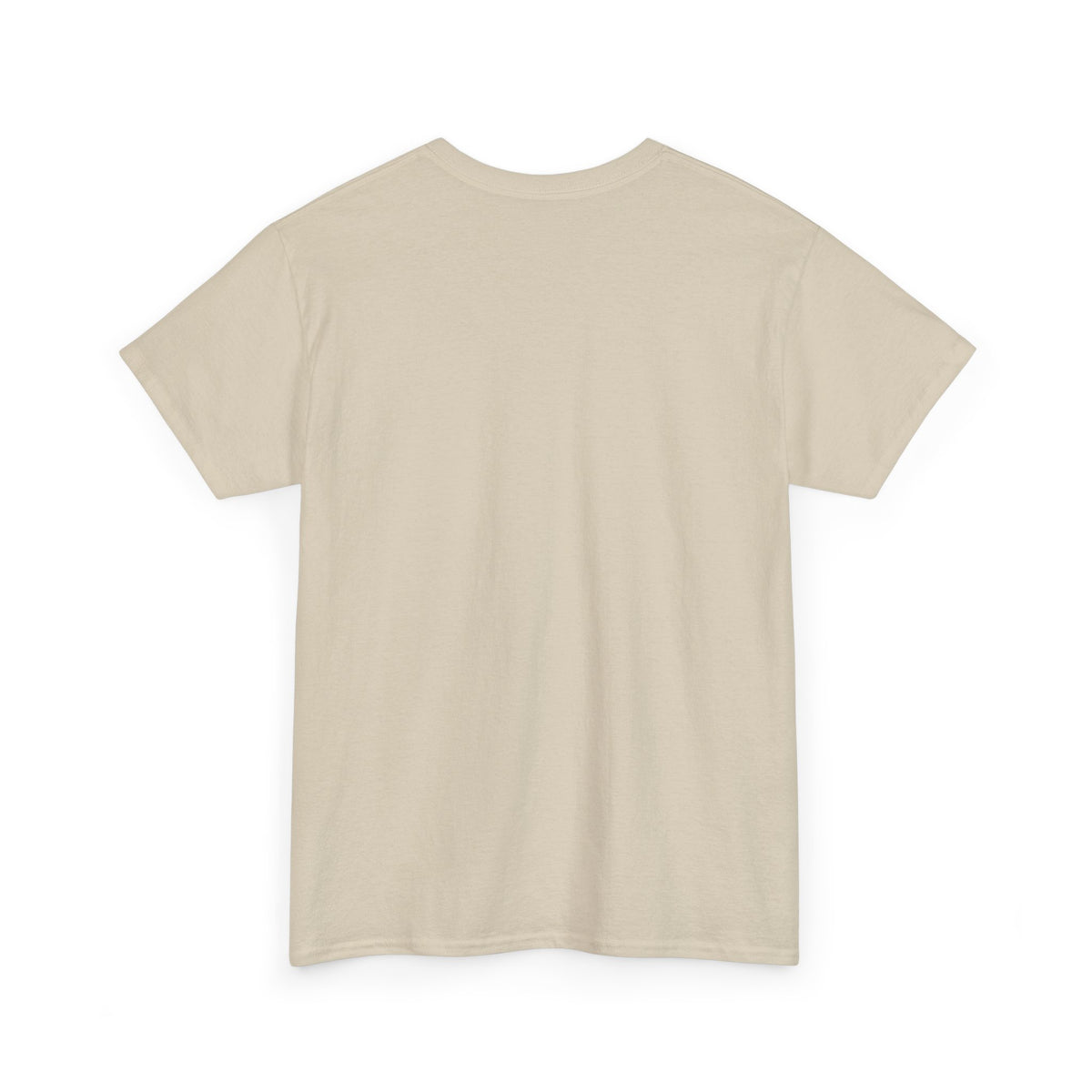 Horn Ok Please Funny Trucker T-Shirt - Light Colors