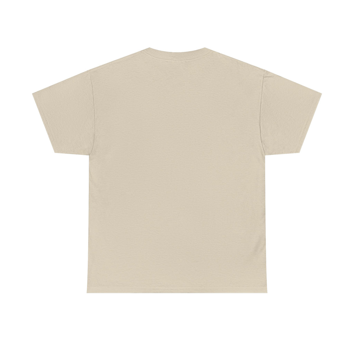 Horn Ok Please Funny Trucker T-Shirt - Light Colors
